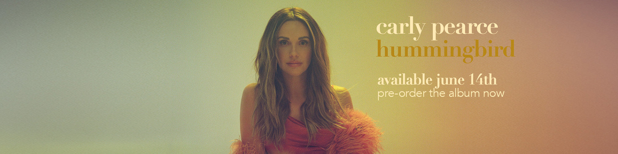 carly pearce hummingbird store